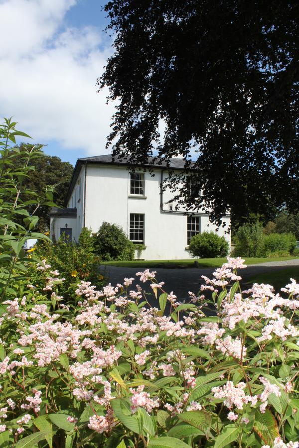 Lough Bawn House Bed & Breakfast Collinstown  Dış mekan fotoğraf